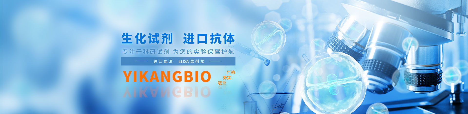 登革热抗体快速检测试剂